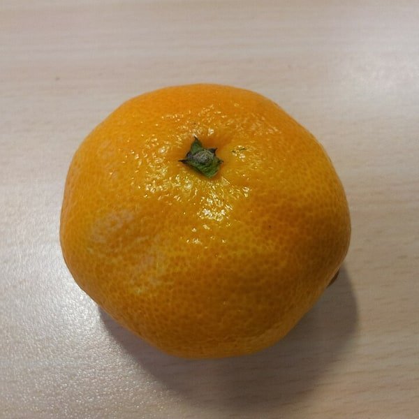 Navel Orange