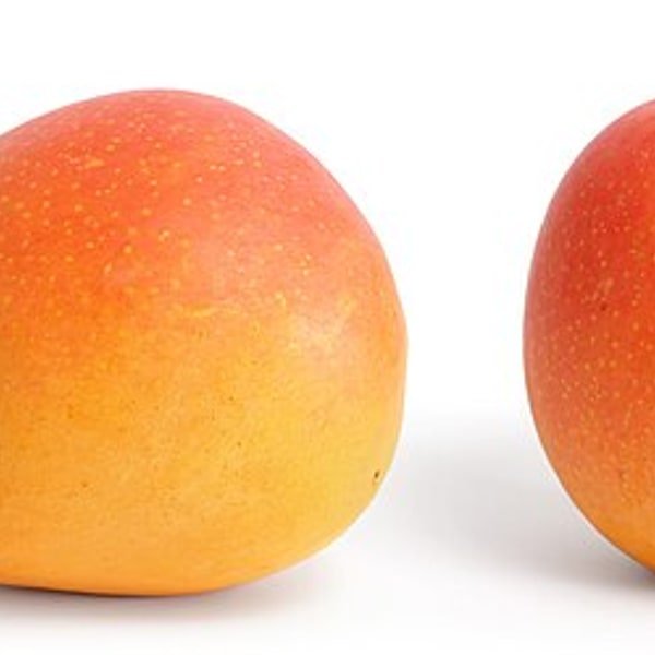 Haden Mango