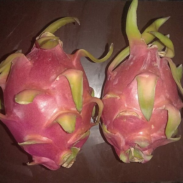 Dragon Fruit Pitaya