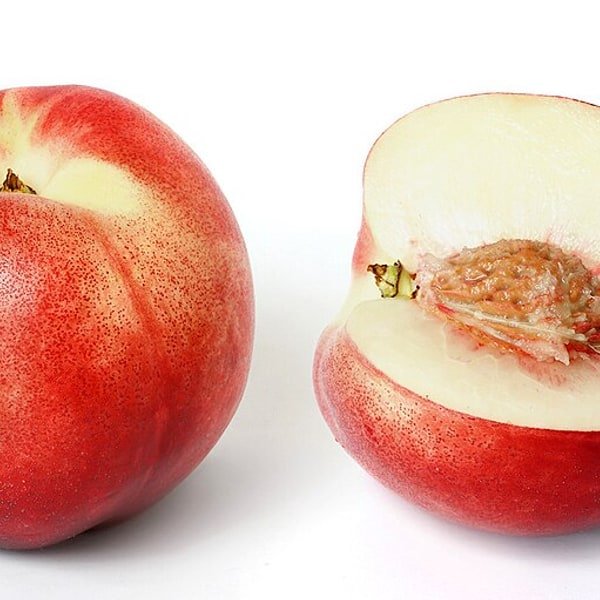Nectarine