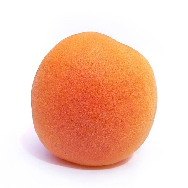 Apricot