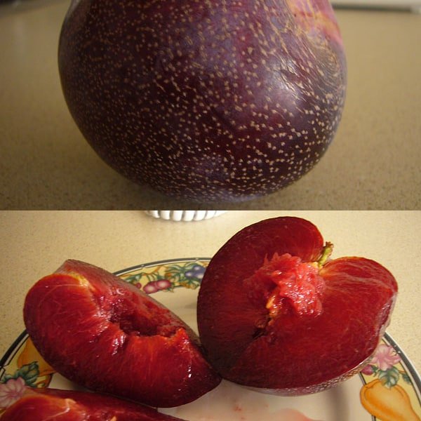 Aprium Hybrid