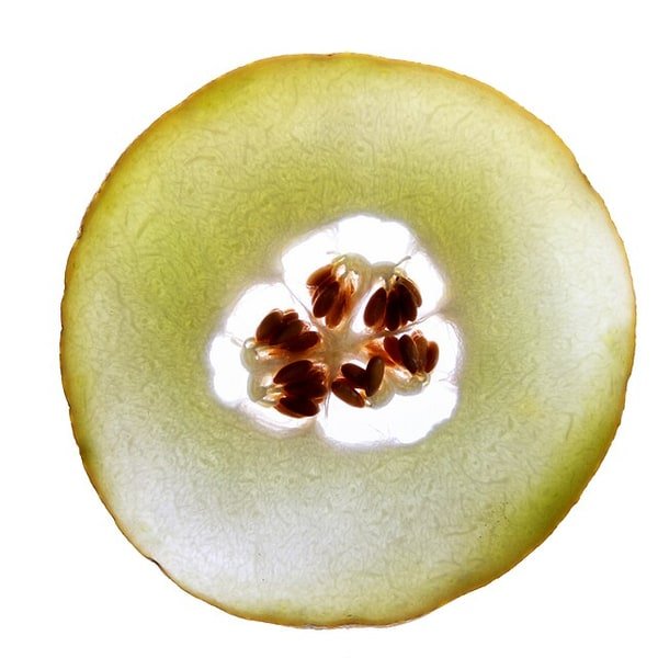 Cantaloupe Melon