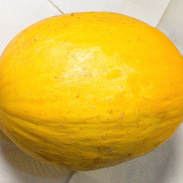 Canary Melon