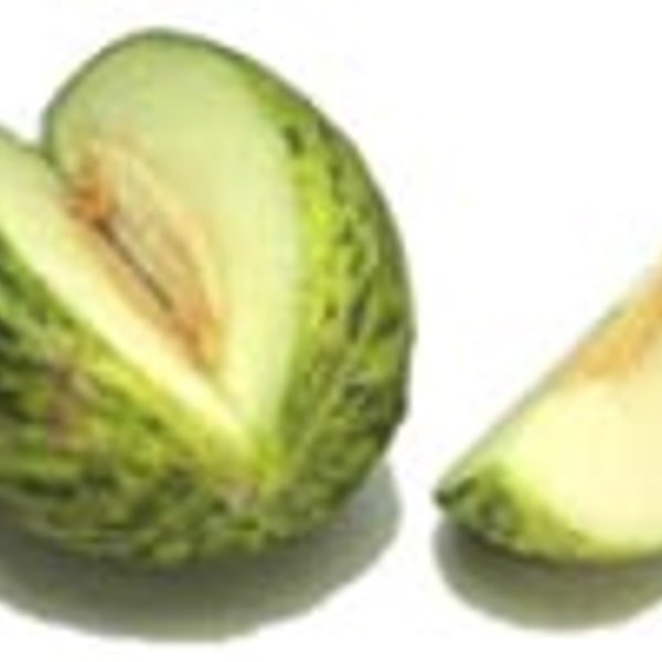 Santa Claus Melon