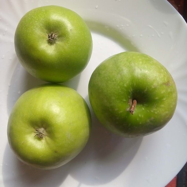 Granny Smith Apple