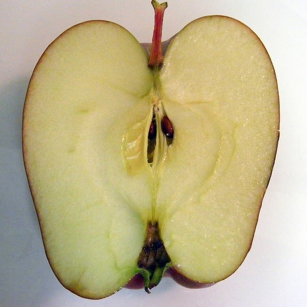 Red Delicious Apple