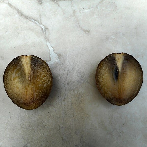 Chikoo Sapodilla